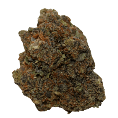 The OG Kush (also known as Ocean Grown Kush) is a Cannabis strain initially developed in Florida in the early 1990s.