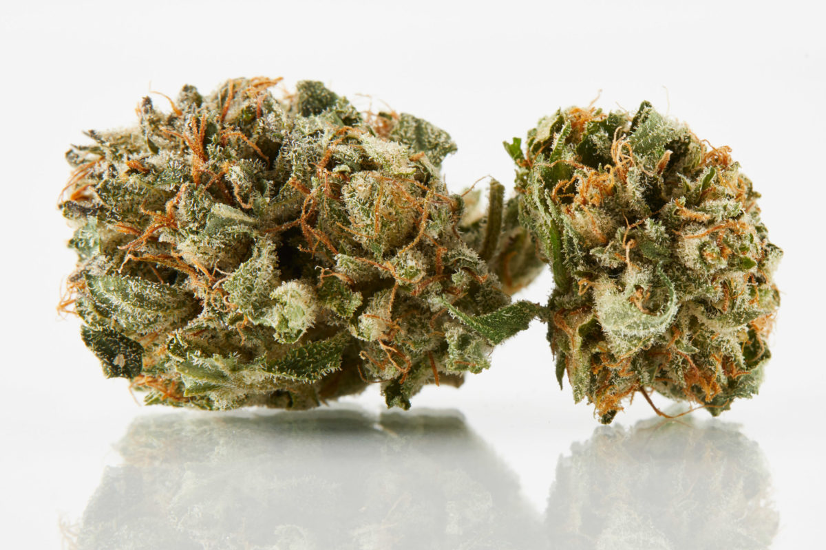 Kush is a cannabis Indica strain that has grown in popularity over the last decade.