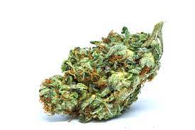 Many people think that Indica marijuana originated in the harsh mountainous conditions of Central Asia.