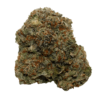 starfighter hybrid marijuana strain from lala land cannabis delivery service