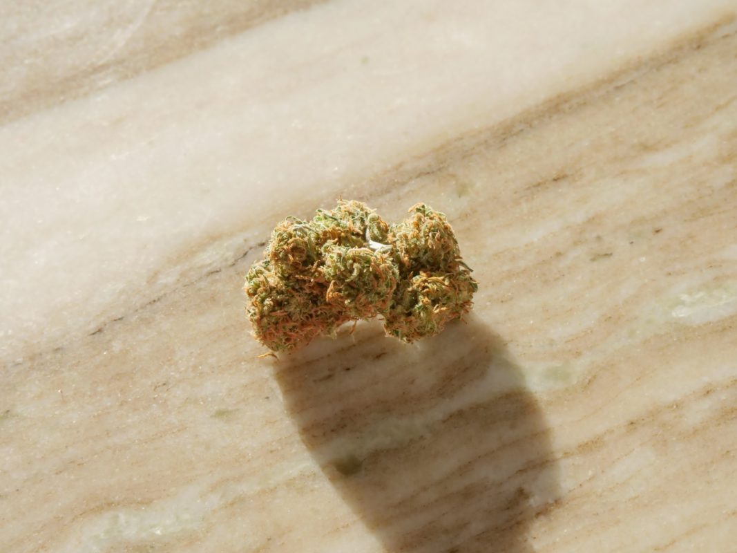The Difference Between Kush and OG