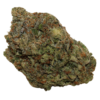 OG Shark sativa marijuana strain from lala land cannabis delivery service