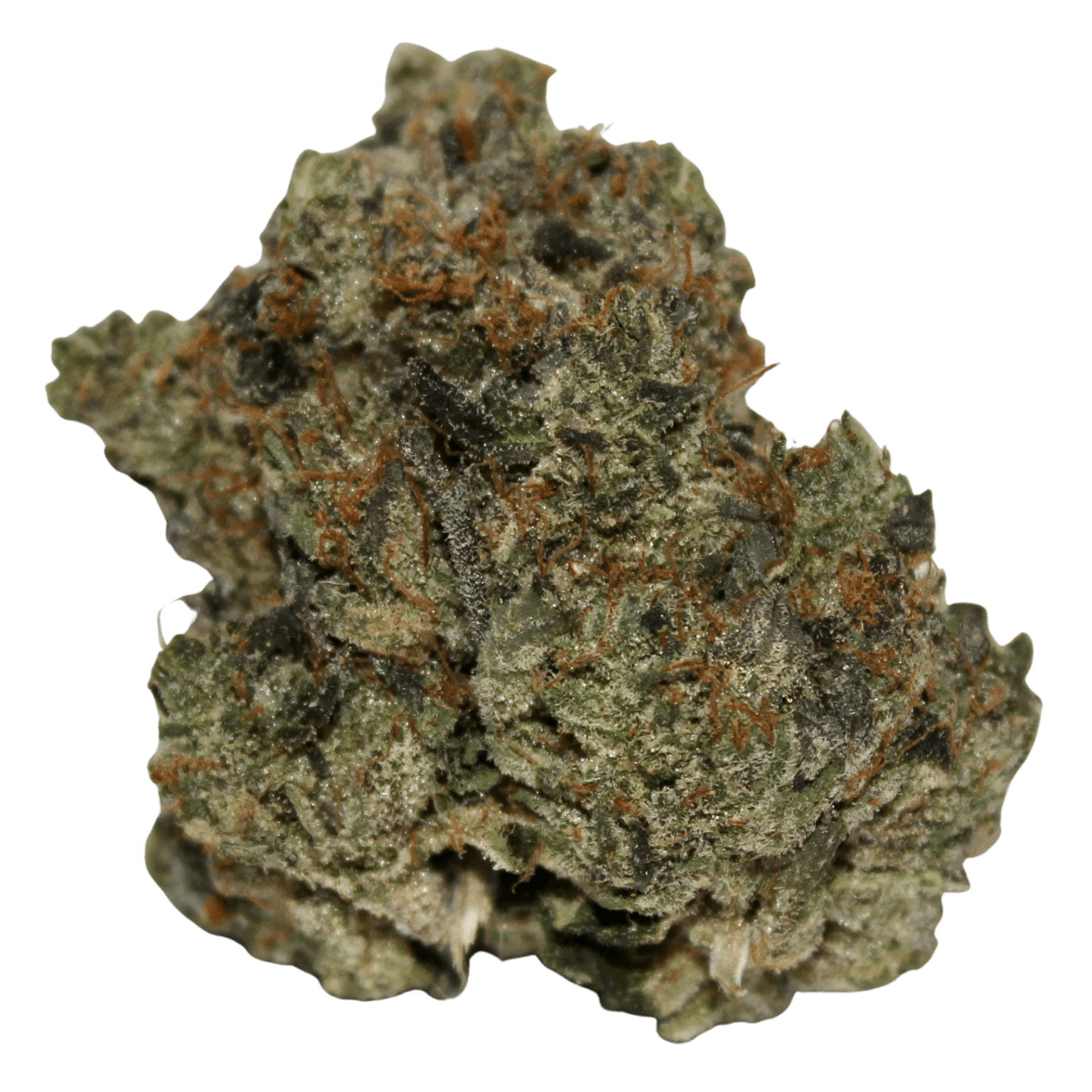 God Bud Cannabis Delivery Lala Land God Bud Cannabis Delivery Lala Land